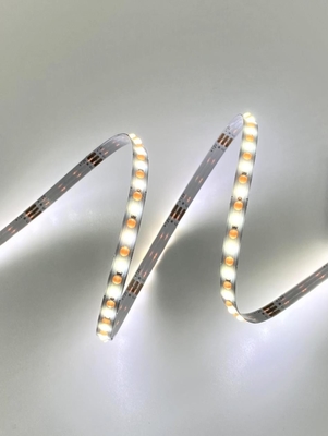 Taśma LED CAT Elastyczna Dot COB CCT Dynamic White DC 24V